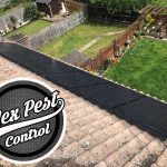 nex pest control solar panel pigeon proofing