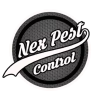 Nex pest control Stevenage logo copy